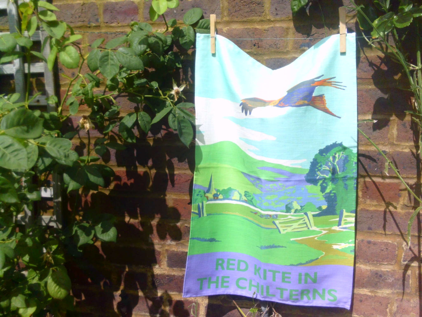 Red Kite in the Chilterns Tea Towel