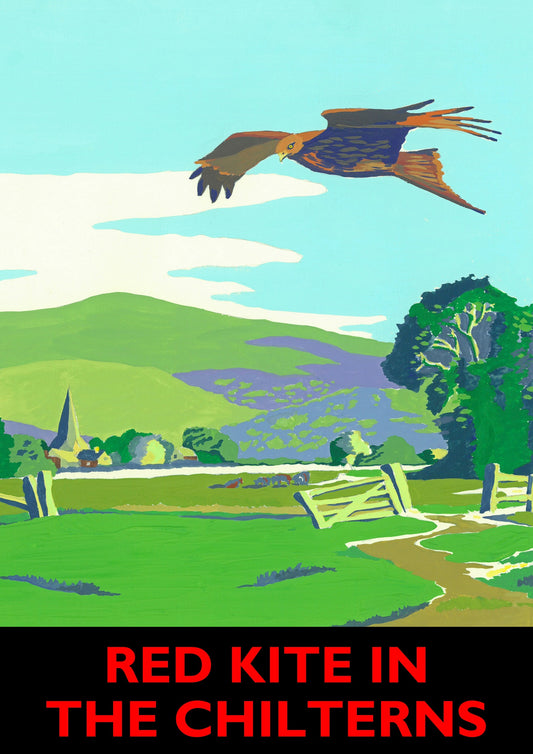 Red Kite in the Chilterns Poster design