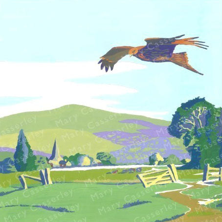 Red Kite in the Chilterns
