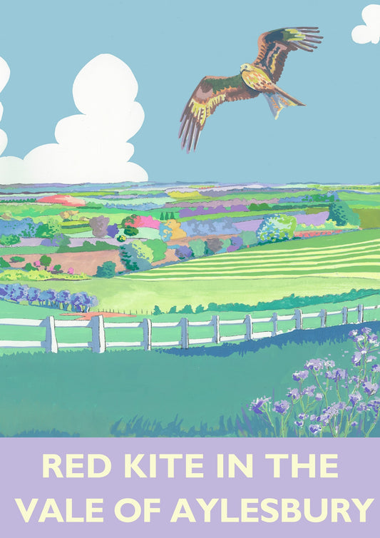 Red Kite in the Chilterns in the Vale of Aylesbury Poster